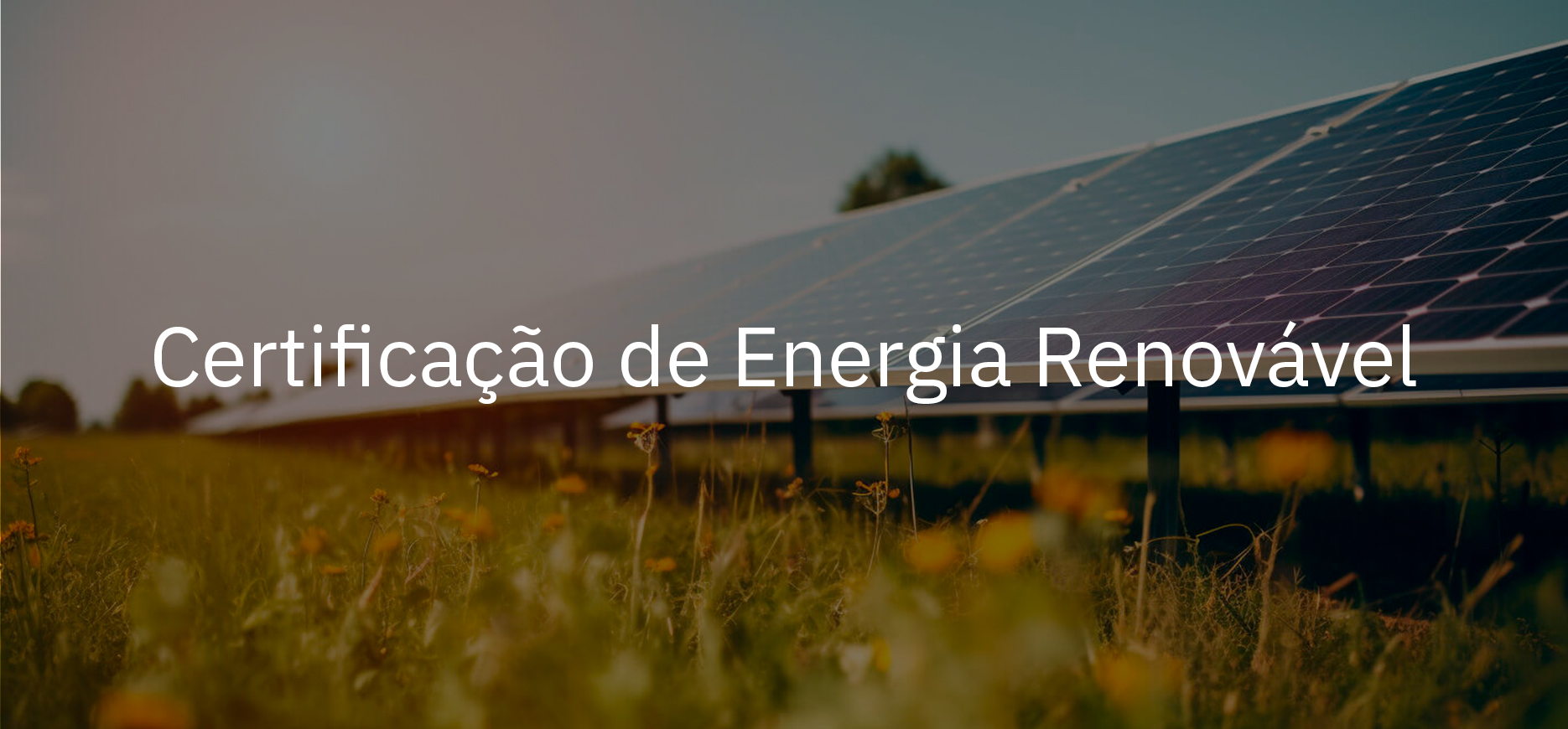 certificação de energia renovável