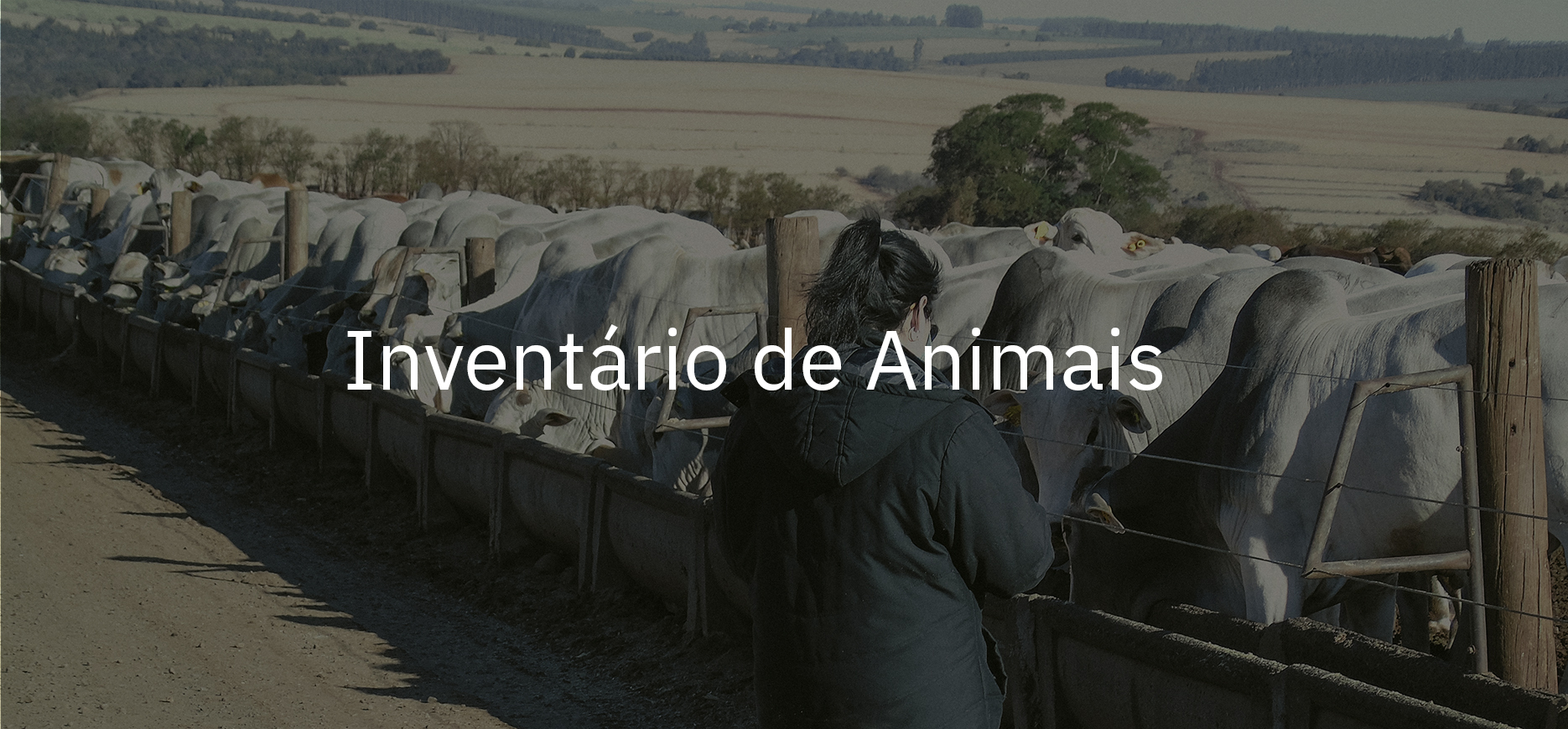 inventário de animais