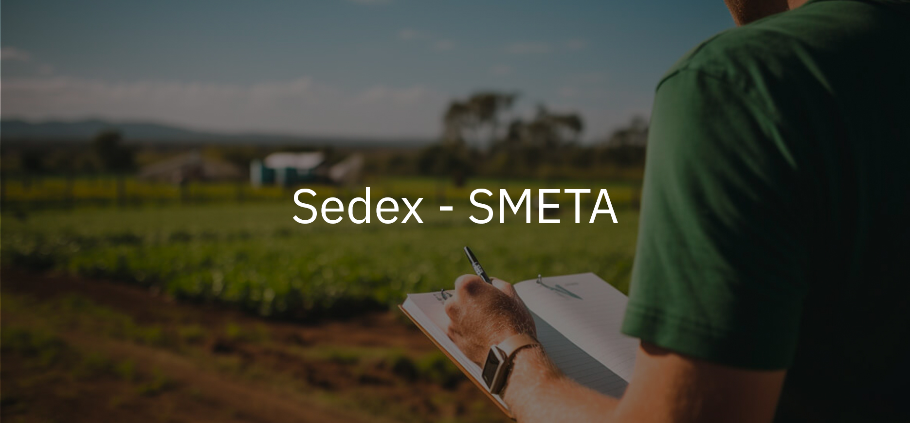 sedex smeta