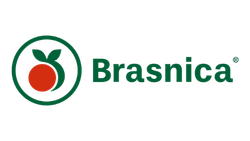 industrias-alimenticias-sbcert(32)