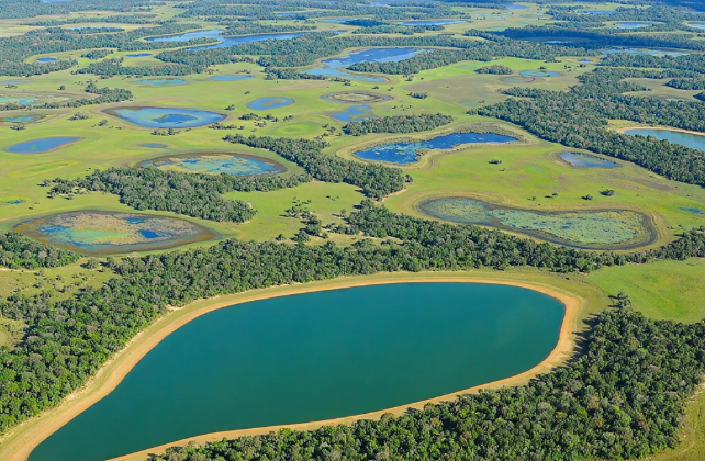 carne sustentável do pantanal
